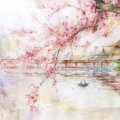 凉辰Senior - 倚栏听風