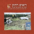 Meir Ariel - שדות גולדברג