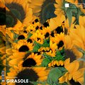 Radia、Giorga - Girasole