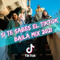 Dj Viral TikToker - Si Te Sabes El TikTok Baila Mix 2021