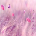 Lin - 三月里的小雨