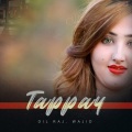 Dil Raj、Wajid - Tappay