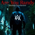 DJ Electro - Are You Randy Mashup Satisfaction