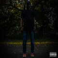 Sandiso Mdluli - Did I