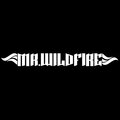 Mr. WildFire - DidgeriDubstep
