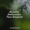 Música para Dormir Con Relajantes Sonidos de la Naturaleza、Meditación Interna、Naturaleza Sonidos - Aventuras Mentales