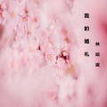 林皖宸 - 我的婚礼