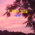 慕遥. - 万里桃花落