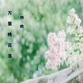 陌皓 - 万里桃花落
