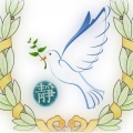 cs宁静致远 - 若只如初见