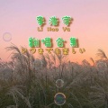 李浩宇 - 爱的飞行日记