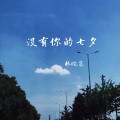 林皖宸 - 没有你的七夕