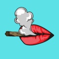 SG、Mae - Boom Boom (Explicit)