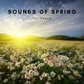 Cricket Sounds、Nature Sounds Collabo、Zen Master - Spring Vibe