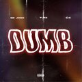 Dumb (Explicit)