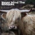 Raymond Porter - Never Mind The Bollocks
