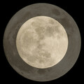 Big Boss - To the Moon
