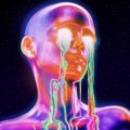 Madt、Johnny Calabasas、Kylo - Treat You Right (Explicit)