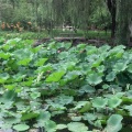 青玉案 - 心城