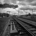 Train of Love Non-Stop
