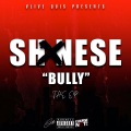 BULLY (Explicit)