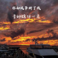 李妙嫣 - 你如风筝断了线