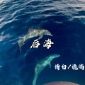 情白、诡谲 - Asphyxia