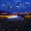 Pngnp