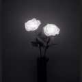 lxtinsheep、AJ Reaper - counting days