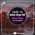 Nhật Đoàn、Thanh Hưng - Chắc Vì Mình Chưa Tốt (feat. Thanh Hưng)(Remix)