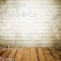 Aurelijus Sciuka、Co - Nebuna Nieko (Explicit)
