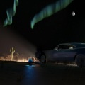 Shepherd、yvnnis、Arturo - UNE NUIT DE PLUS (Explicit)