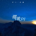 褶皱 (DJ阿卓版)