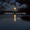 三妮 - 归来是故乡 (女声版)