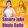 Sasura Jake Bhula Gailu