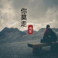 可可托海牧羊人 (琵琶版)