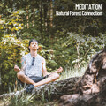 Brain Timbre、The Nature Soundscapes、Spa Music & Meditation Collective - Morning Drizzle Birds