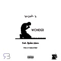 Wonder (feat. Hydeia Aniece)(Explicit)