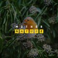 Seas of dreams、Worldwide Nature Studios、Relax Meditate Sleep - Mother Nature - Spring Birds