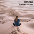 Asian Zen Spa Music Meditation、Epic Soundscapes、Solfeggio Healing Frequencies - Springtime Introspection