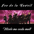 Fitzele ma costa mult
