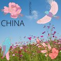 Pellicano - China