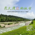 媛媛 - 花儿漫过的地方 (大型声乐套曲《定西这块土地》之八“岷县”)