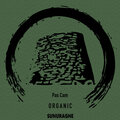 Pas Cam - Organic (Original Mix)