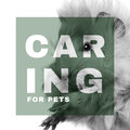 Pet Care Club - Just Fall Asleep