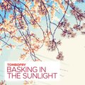 TomboFry - Solar Radiation
