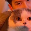 鼓改编