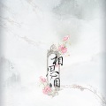 梅梅 - 你是我最难舍的人