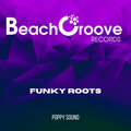 Funky Roots