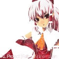 XL project - 厄災流し